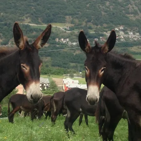Chez Magan Séjour à la campagne *