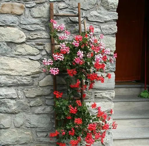 阿菲塔卡梅勒莎斯马格安酒店 * Gignod