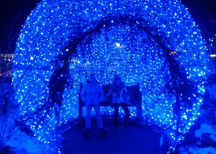 阿菲塔卡梅勒莎斯马格安酒店 * Gignod